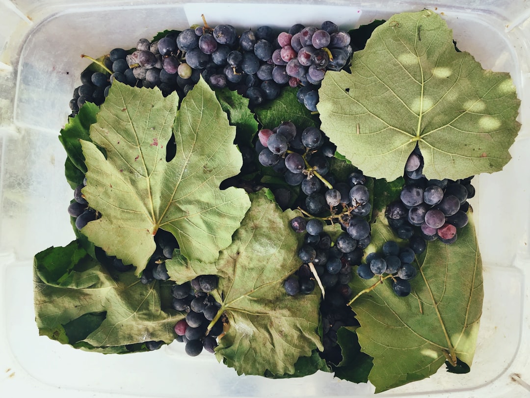 Photo Composting bin